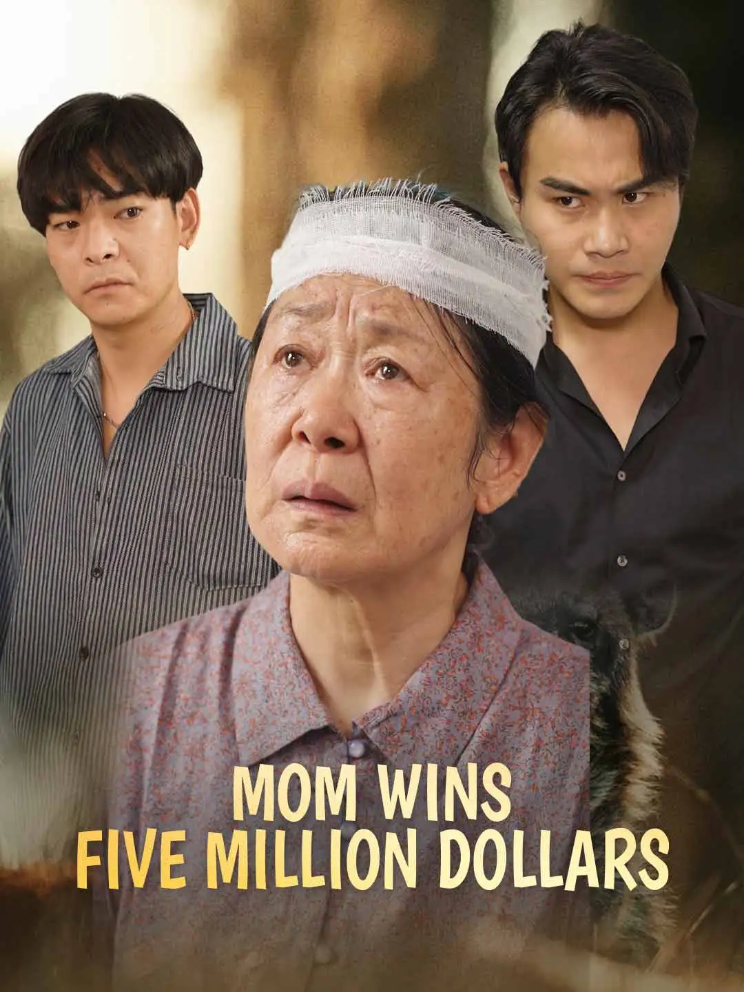 Mom Wins Five Million Dollars short drama poster