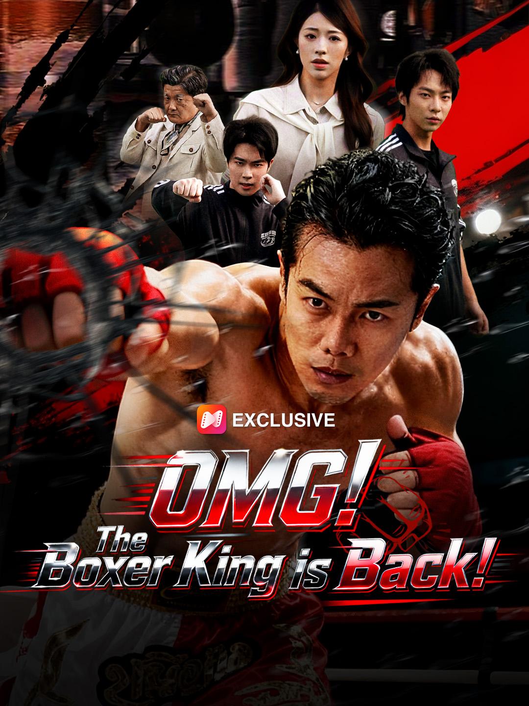 OMG! The Boxer King is Back! short drama poster