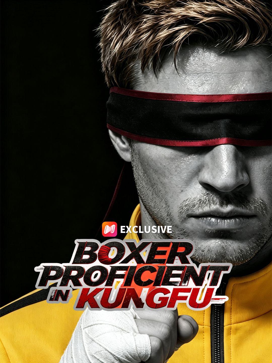 Boxer Proficient In Kungfu short drama poster
