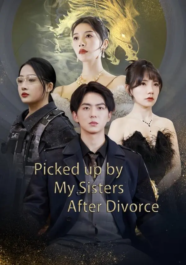 Picked up by My Sisters After Divorce short drama poster