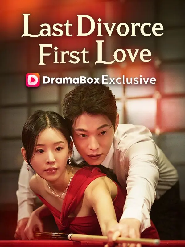 My Last Divorce, My First Love short drama poster