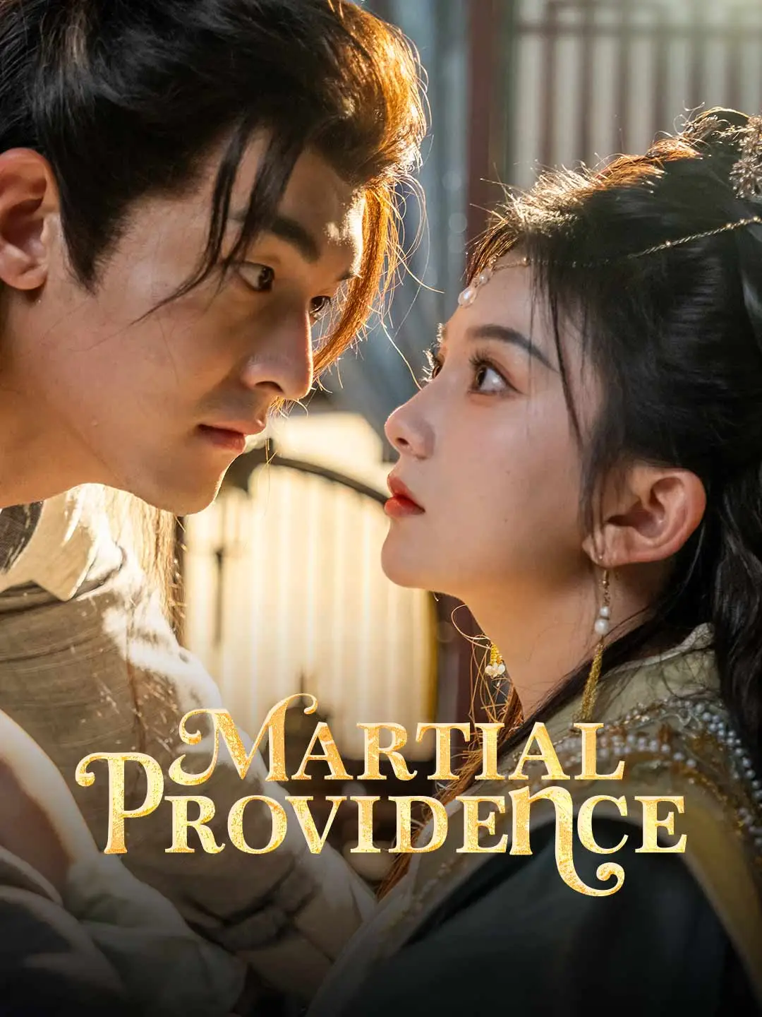 Martial Providence short drama poster