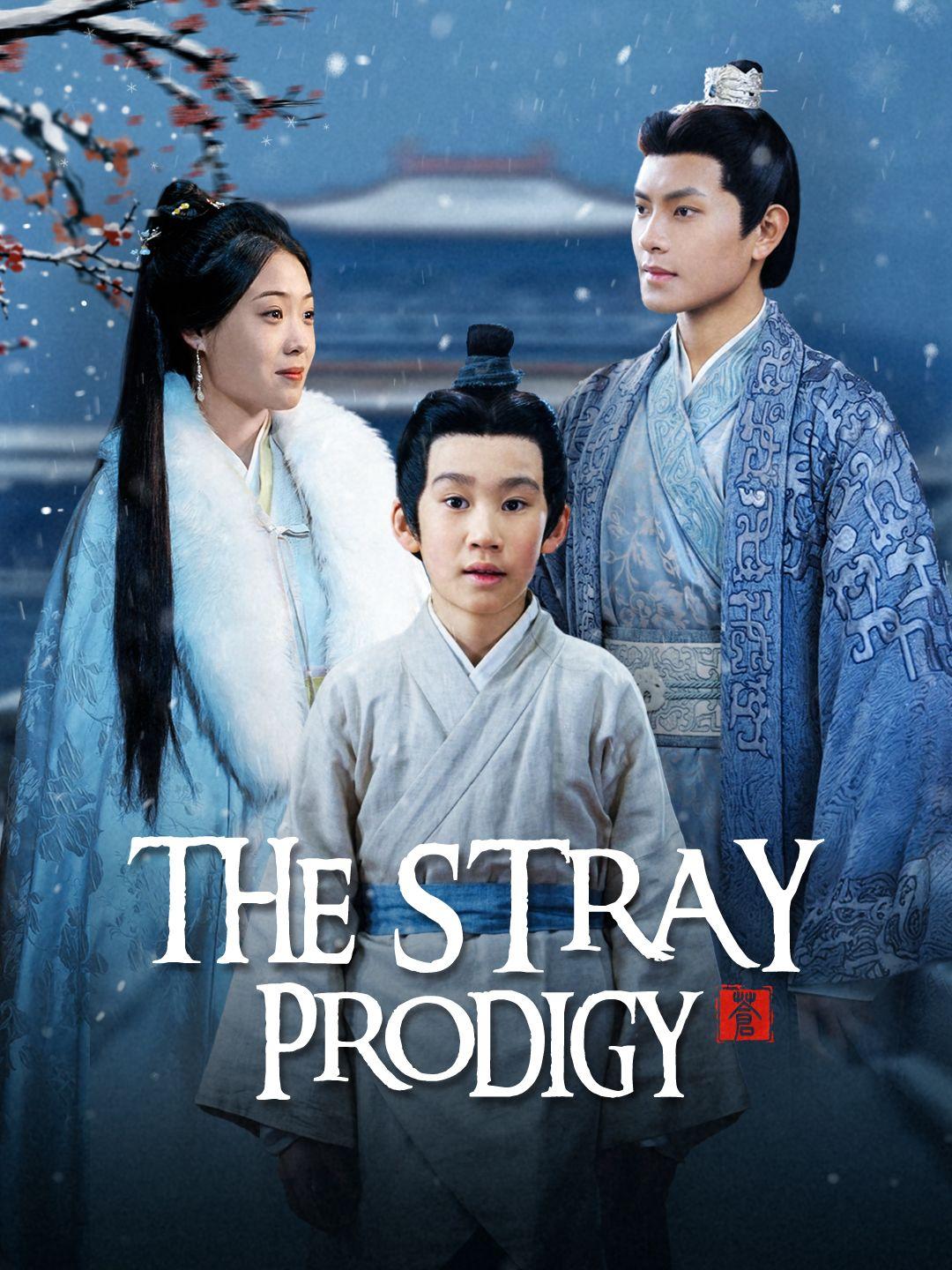 The Stray Prodigy short drama poster