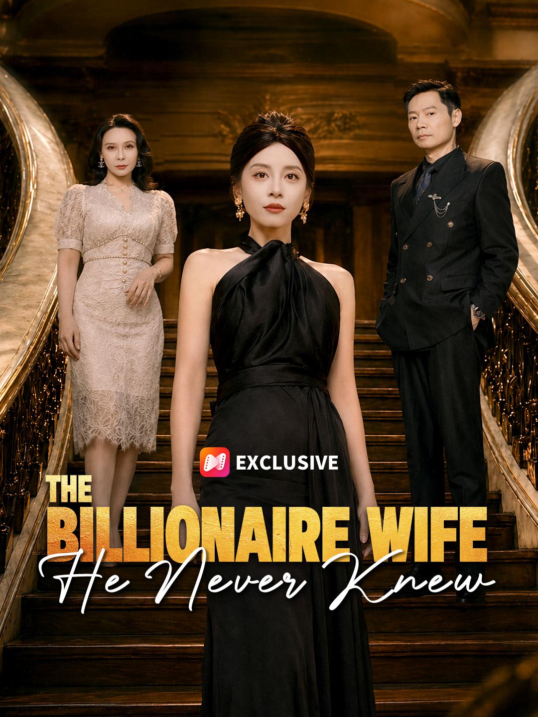 The Billionaire Wife He Never Knew short drama poster