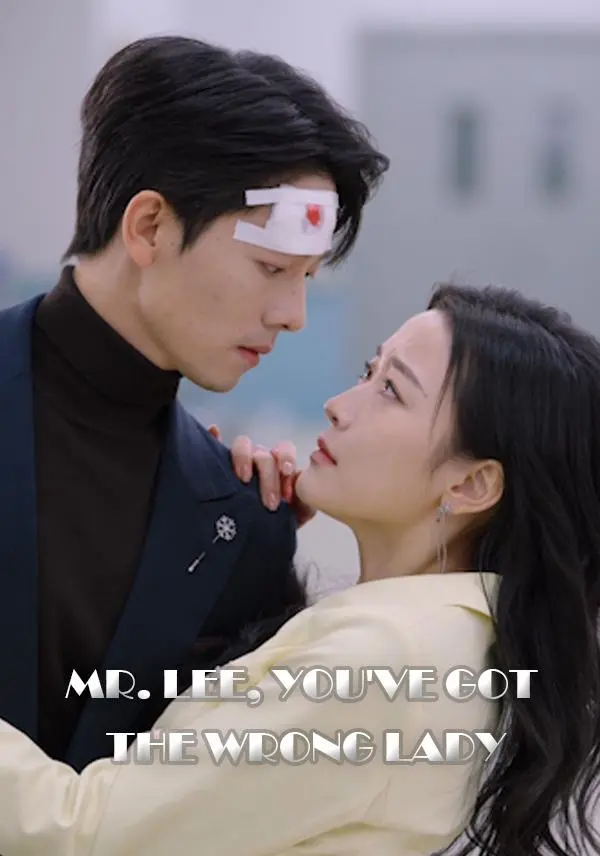 Mr. Lee, You've Got the Wrong Lady short drama poster
