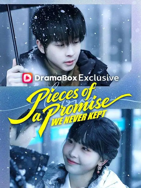 Pieces of a Promise We Never Kept short drama poster