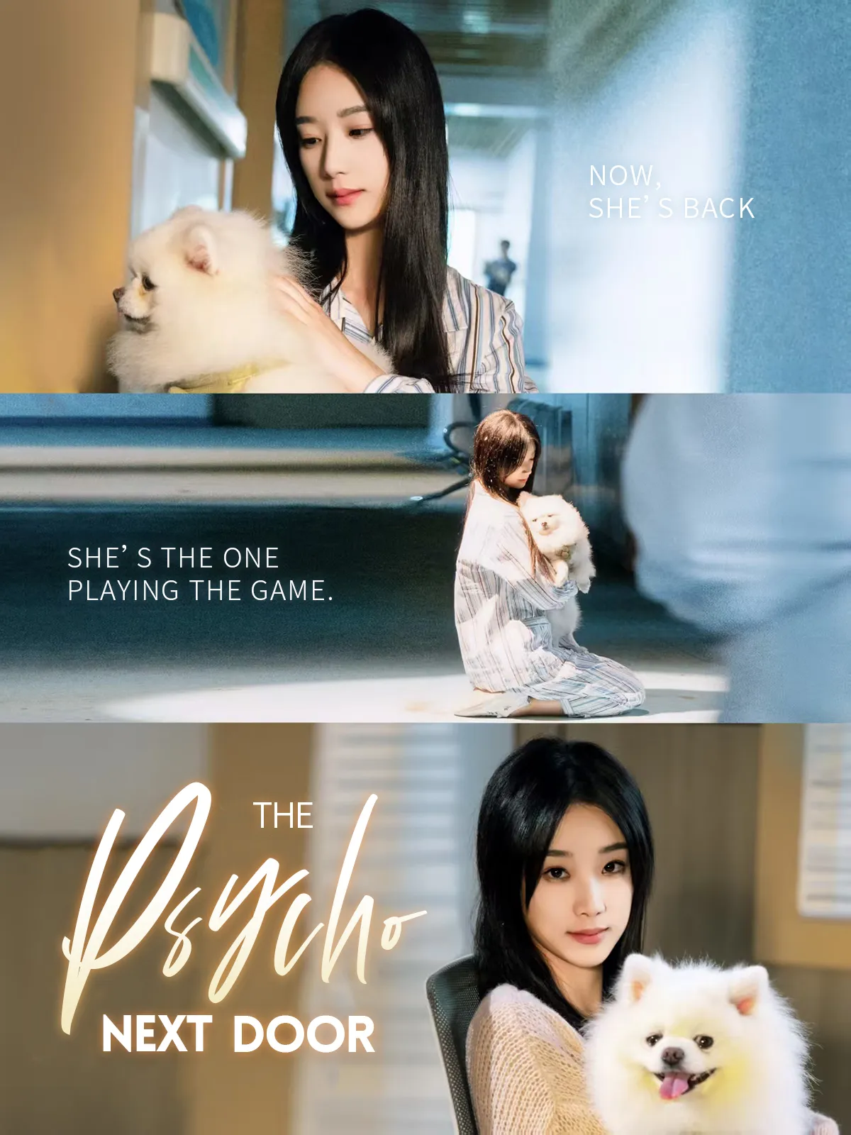 The Psycho Next Door short drama poster