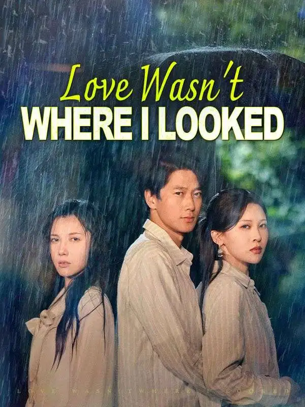 Love Wasn't Where I Looked(DUBBED) short drama poster