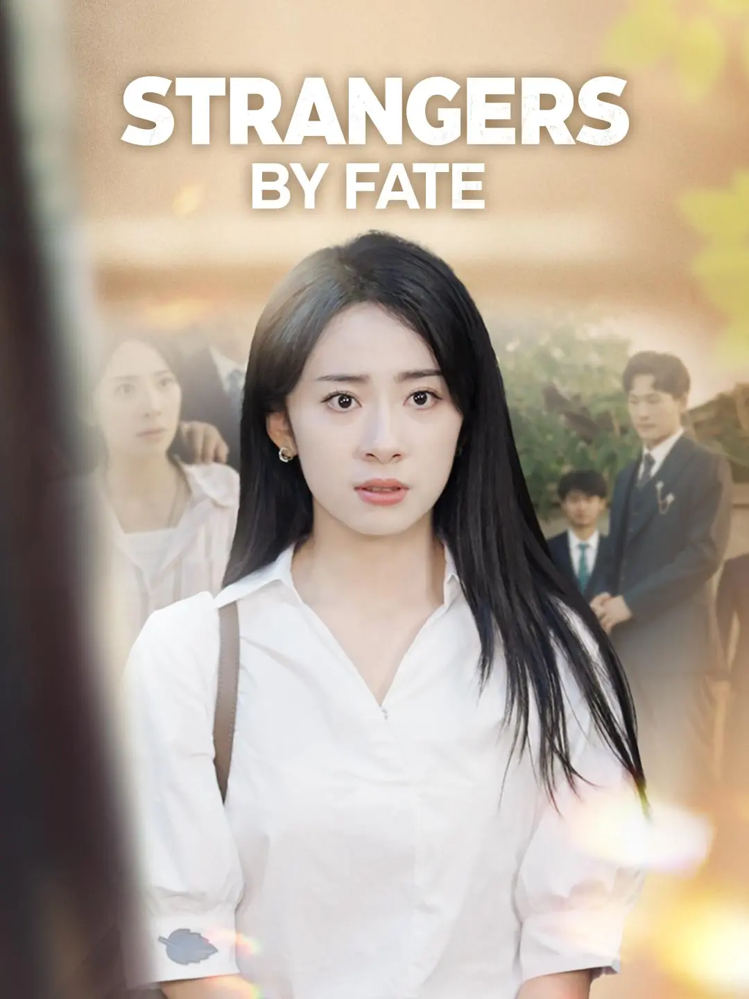 Strangers by Fate short drama poster