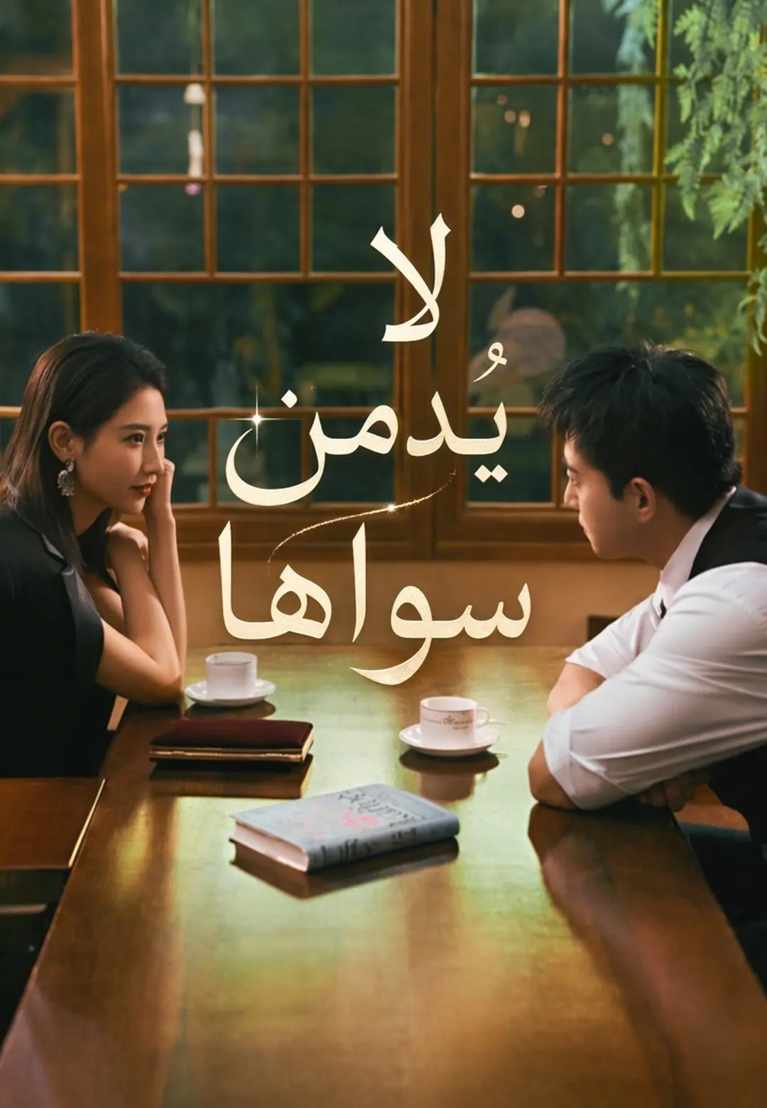 لا يُدمن سواها short drama poster