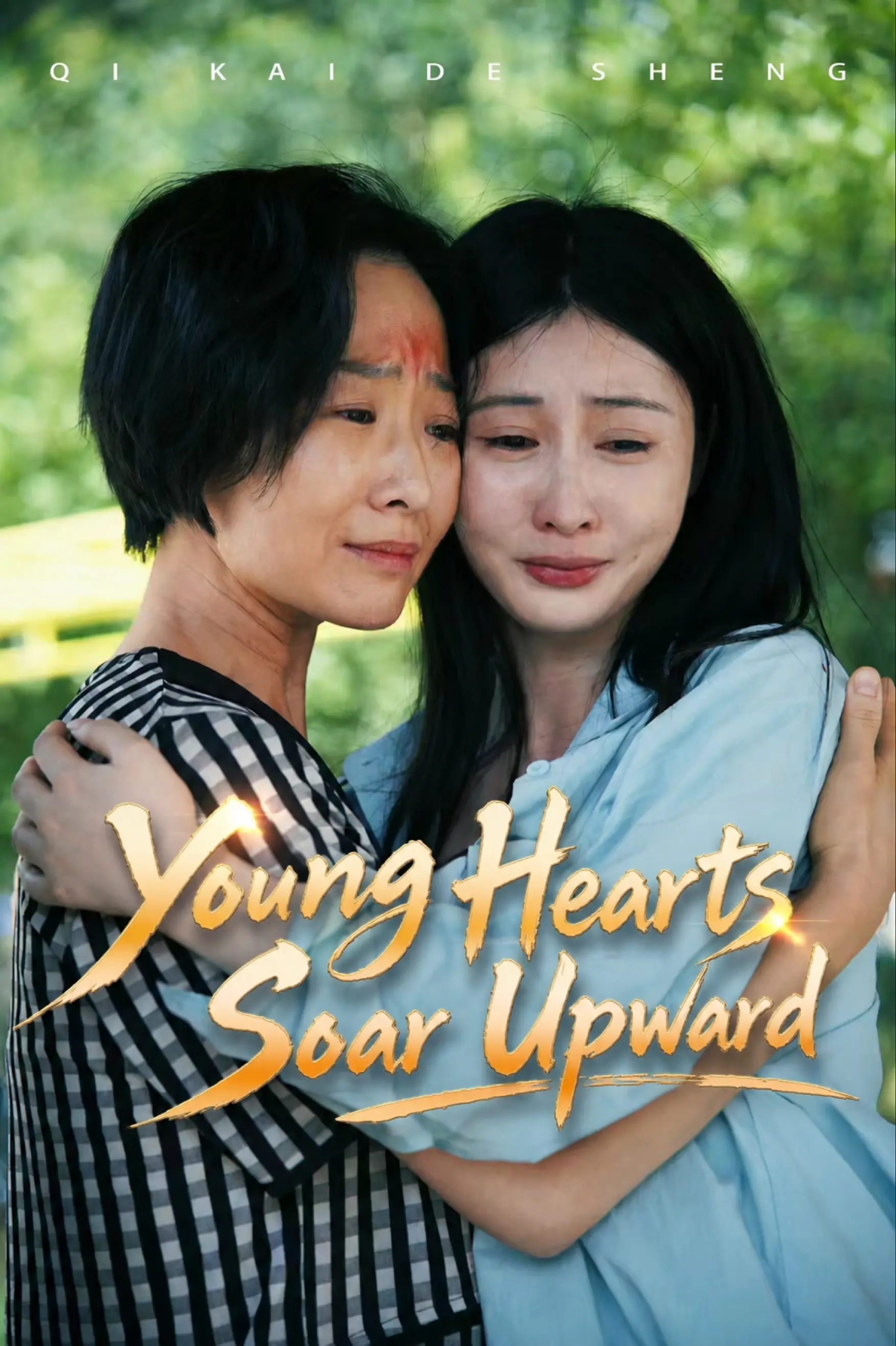 Born to Soar short drama poster