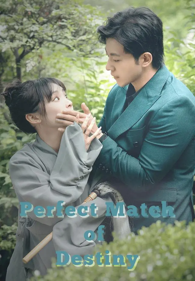 Perfect Match of Destiny short drama poster