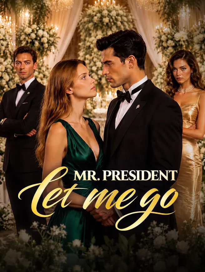 Mr. President Let Me Go short drama poster