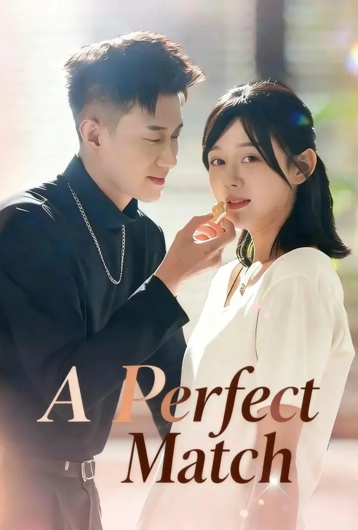A Perfect Match short drama poster
