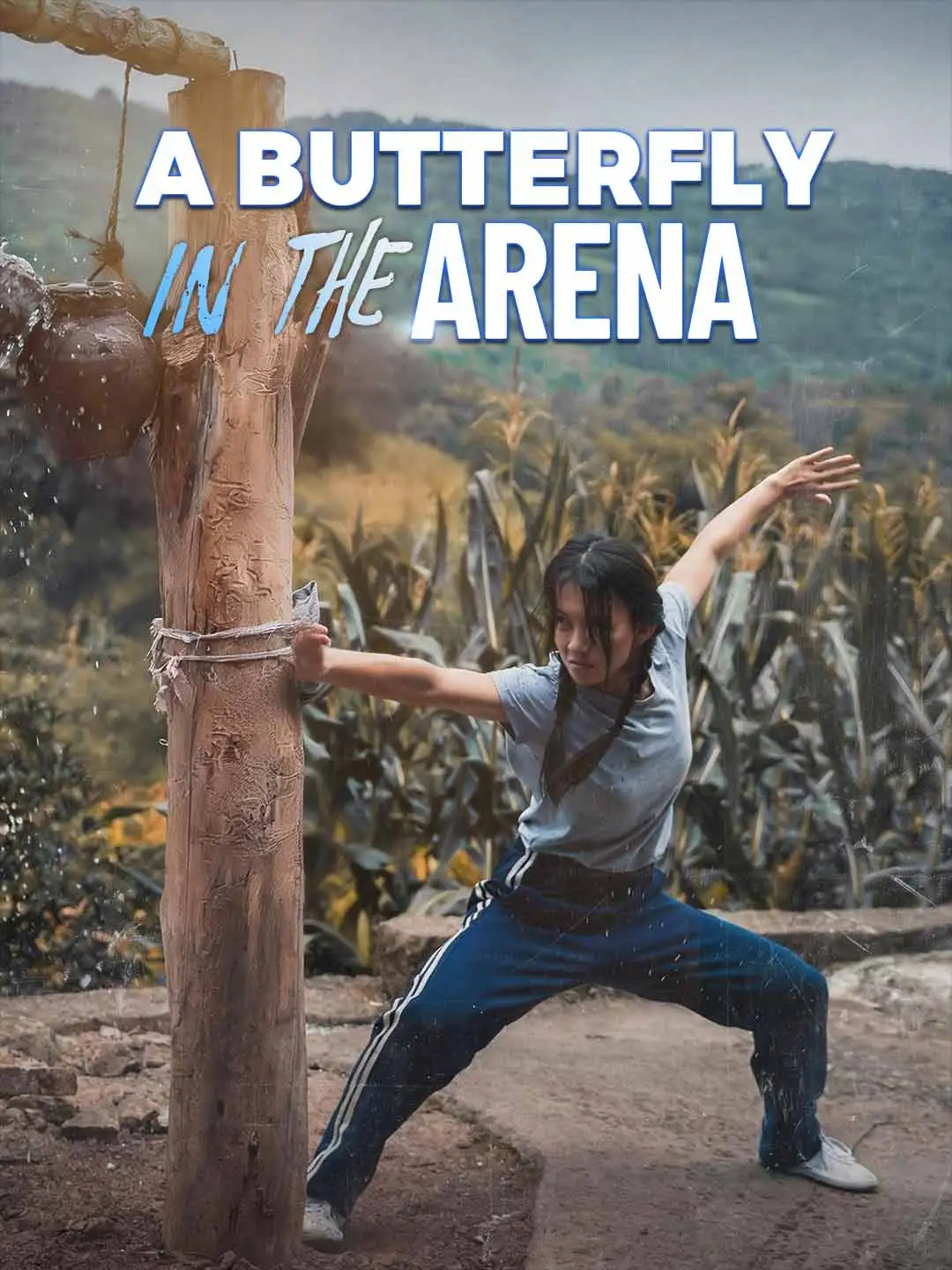 A Butterfly in the Arena short drama poster