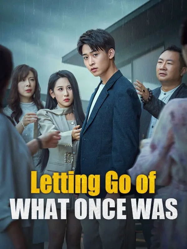Letting Go of What Once Was(DUBBED) short drama poster