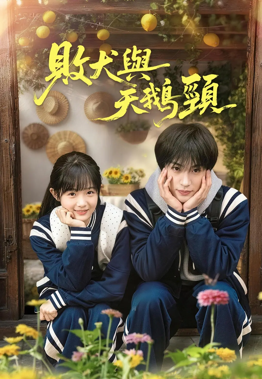 敗犬與天鵝頸 short drama poster