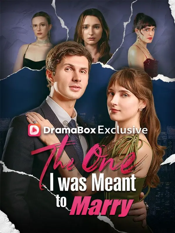 The One I was Meant to Marry short drama poster