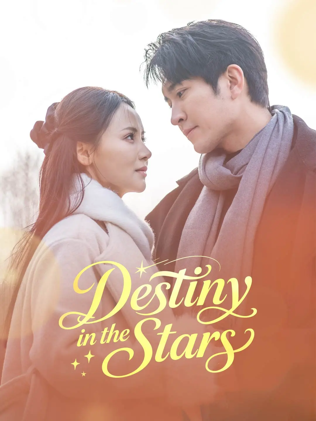 Destiny in the Stars short drama poster