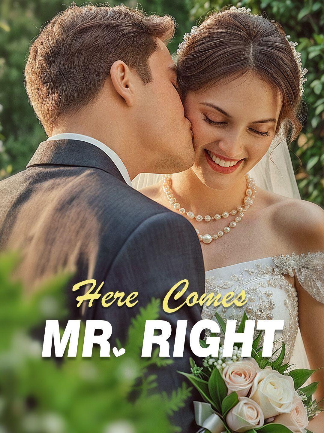 Here comes Mr.Right short drama poster