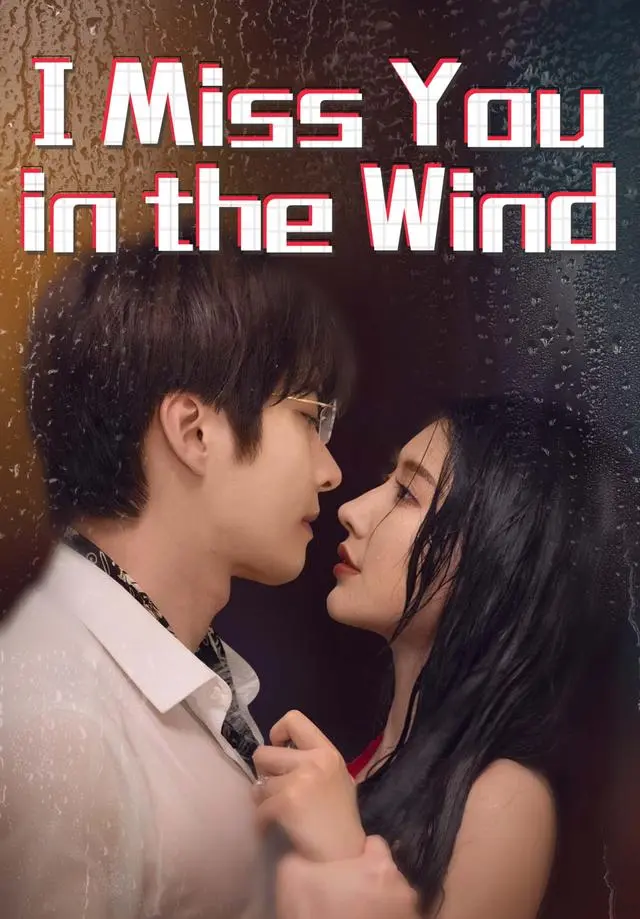 I Miss You in the Wind short drama poster