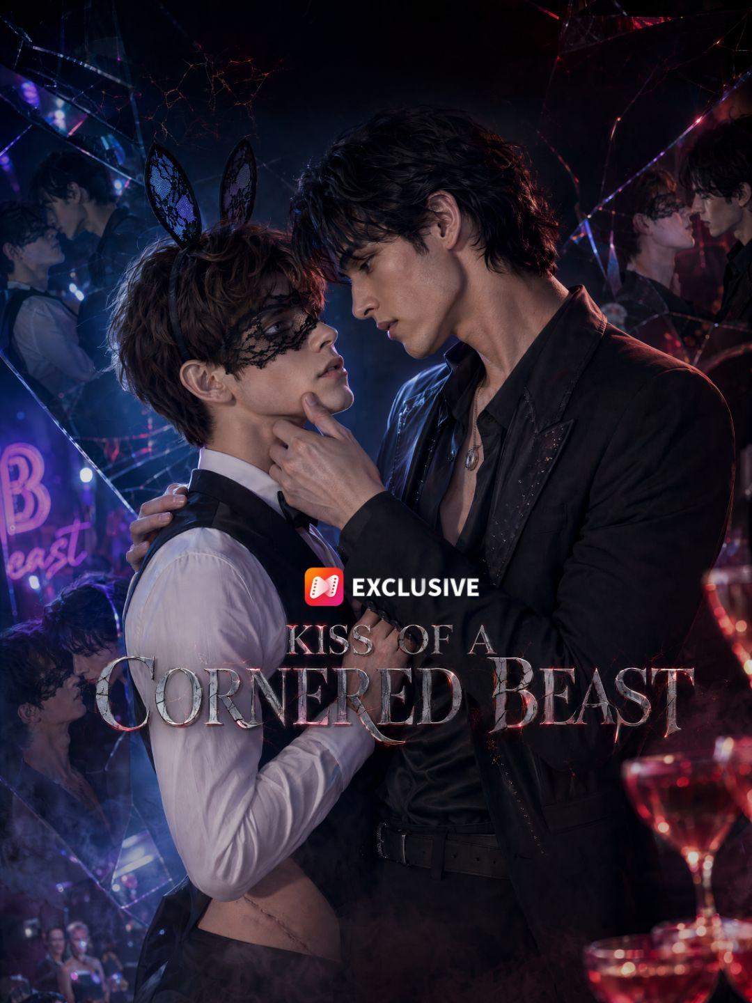 Kiss of a Cornered Beast short drama poster