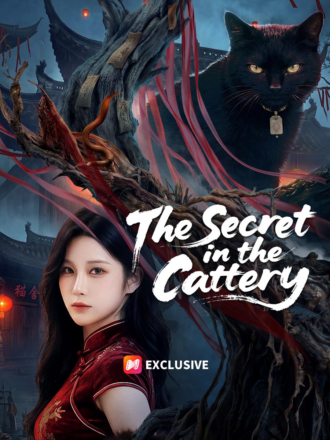 The Secret in the Cattery short drama poster
