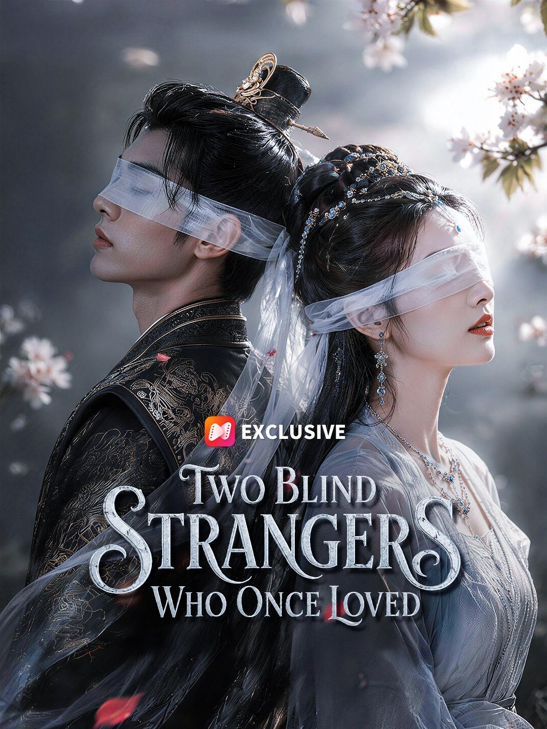 Two Blind Strangers Who Once Loved short drama poster